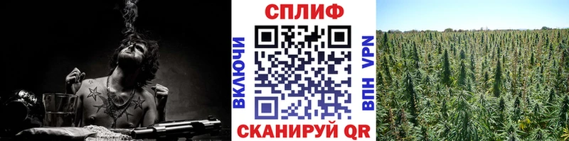 МАРИХУАНА индика где продают наркотики Нефтекумск